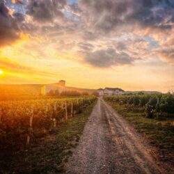 Evadare din București